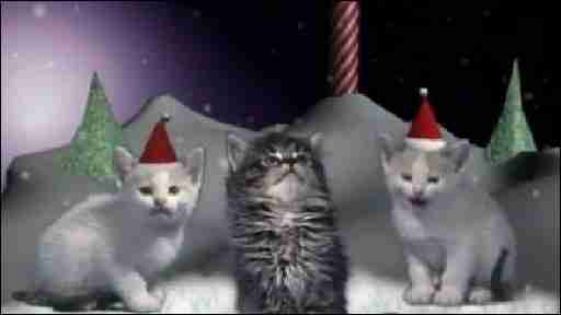 Jingle Cats The