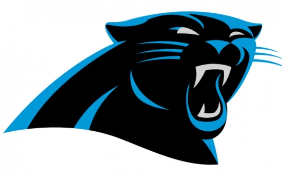 The Carolina Panthers announced four new names for their Hall of Honor