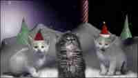 The Jingle Cats
