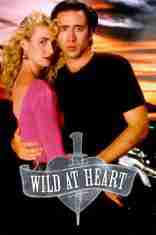 WildAtHeart