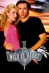 WildAtHeart