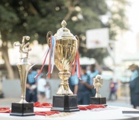 Achievement as Motivation: How Recognition Fuels Athletes