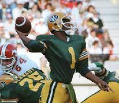 How Many Canadian NFL Stars Have Been Inducted into the Pro Football Hall of Fame?