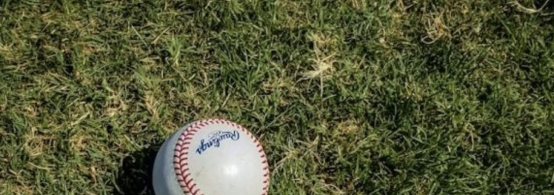 How Baseball Betting Odds Reflect Early-Season MLB Trends in 2026