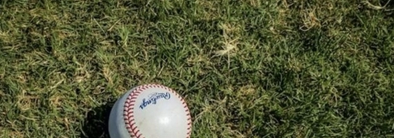 How Baseball Betting Odds Reflect Early-Season MLB Trends in 2026