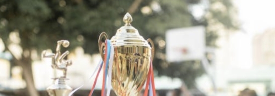 Achievement as Motivation: How Recognition Fuels Athletes