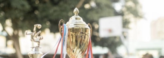 Achievement as Motivation: How Recognition Fuels Athletes