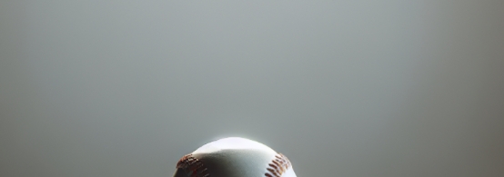 The impact of Hall of Fame exclusions on baseball legends