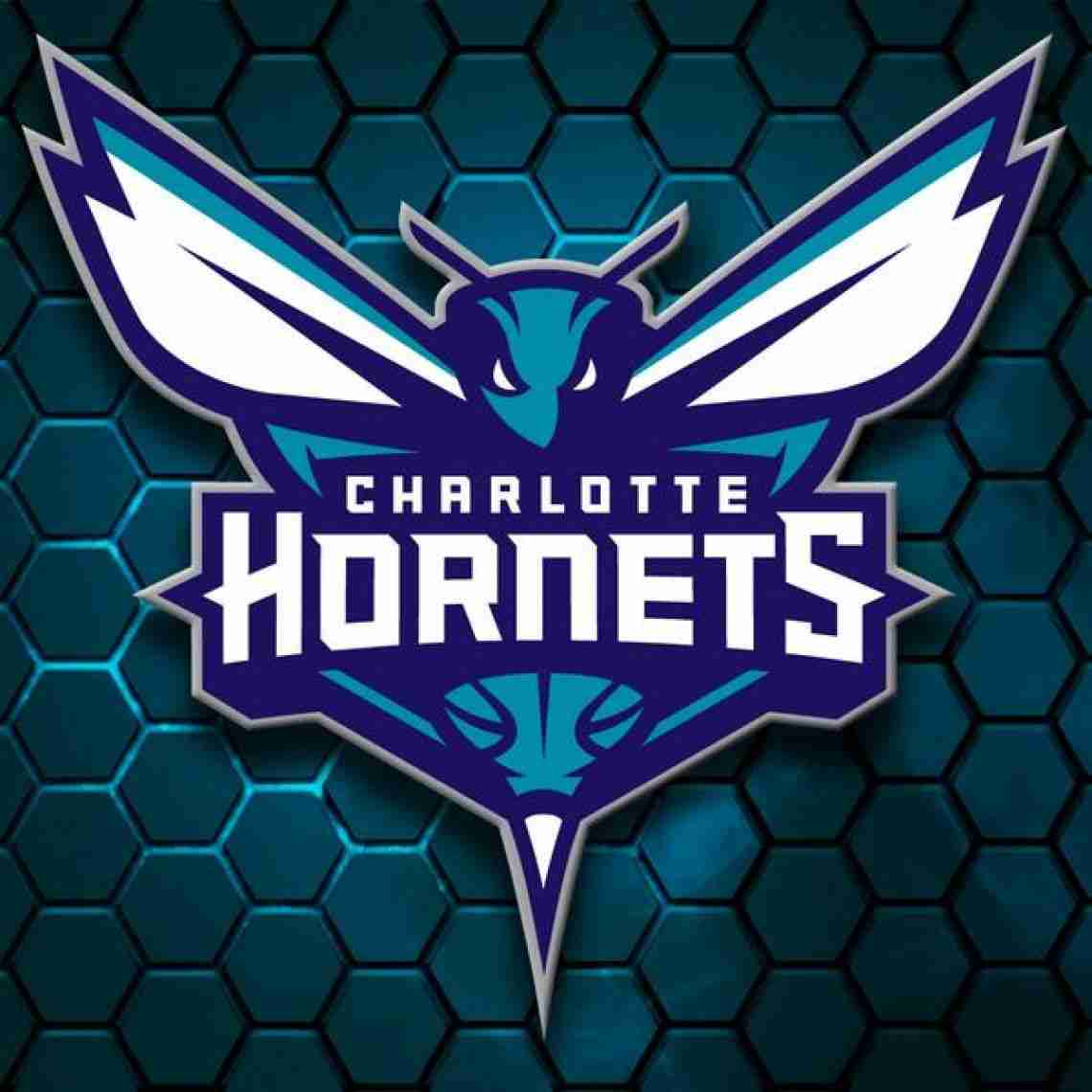 Charlotte Hornets Fans