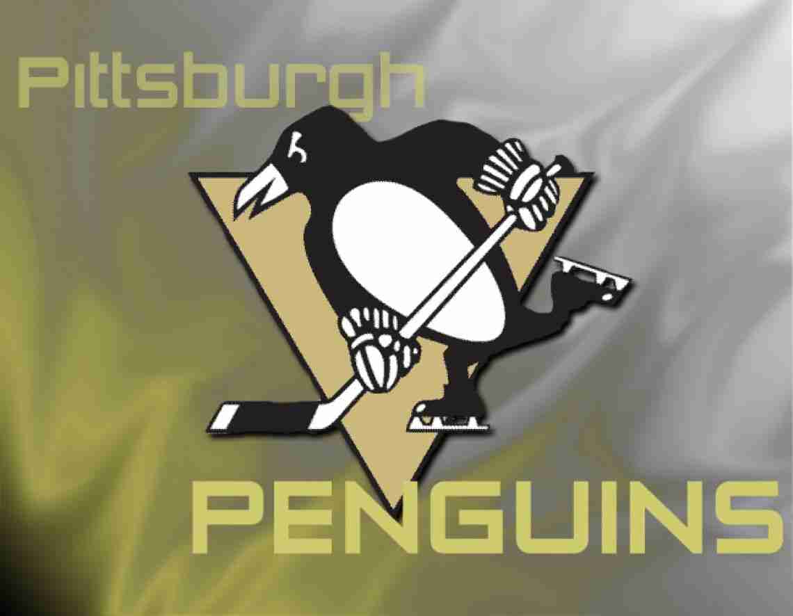 Pittsburgh Penguins Fans