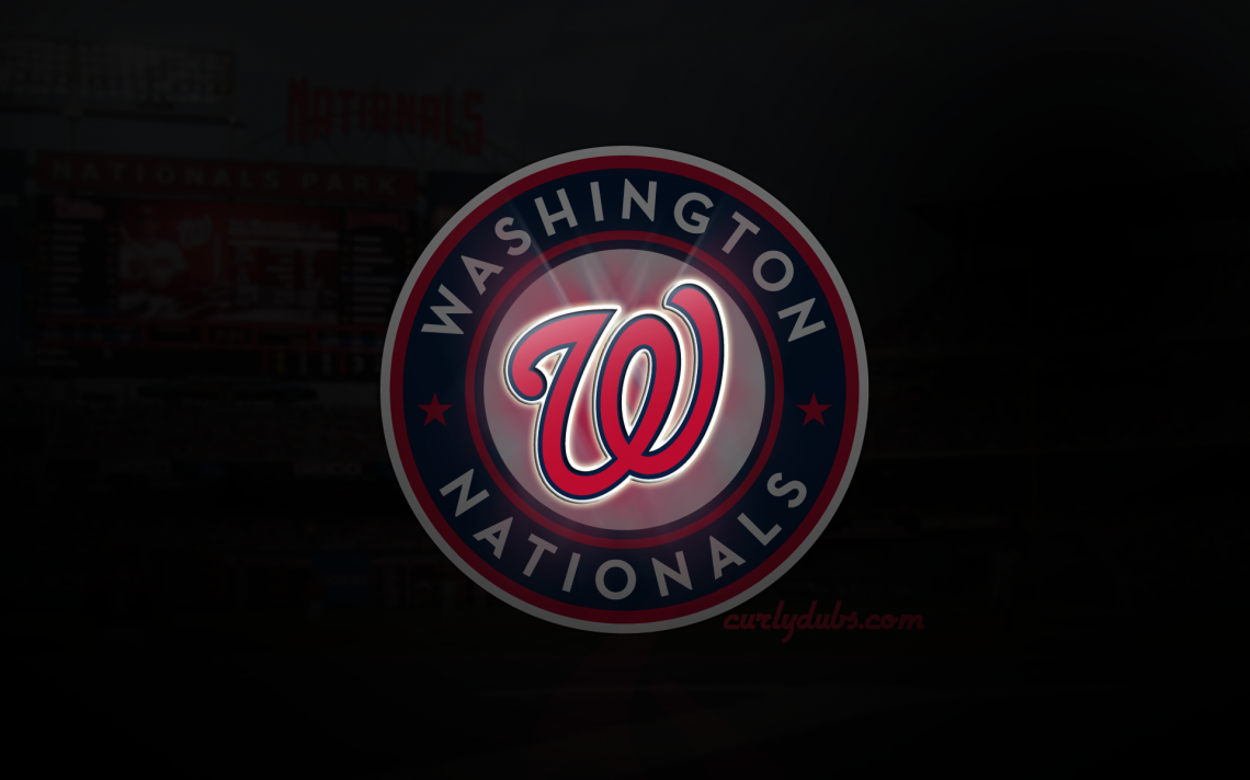 Washington Nationals Fans