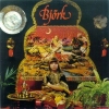 Bjork Album Covers