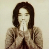 Bjork Album Covers