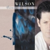 Brian Wilson Album Covers