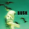 Bush Album Covers