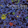 Album Covers