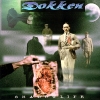 Dokken Album Covers