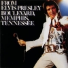 1976 From Elvis Presley Boulevard Memphis Tennessee