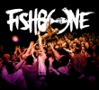 2009 Fisbone Live