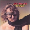 Joe Walsh Album Covers