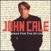 John Cale Album Covers