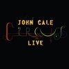 2007 Circus Live