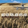 Album Covers