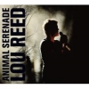 2004 Animal Serenade Live
