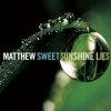 2008 Sunshine Lies