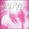 Meat Puppets Album Covers