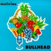 1991 Bullhead