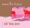 Melvins Album Covers