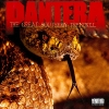 Pantera Album Covers