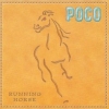 2002 Running Horse