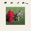 Album Covers