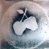 1968 Siver Apples