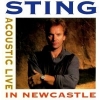 1991 Acoustic Live in Newcastle