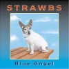 2003 Blue Angel