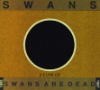 1998 Swans Are Dead Live