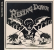 2008 Rising Down