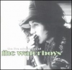 The Waterboys Album Covers