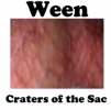 Ween Album Covers