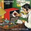 Wishbone Ash Album Covers