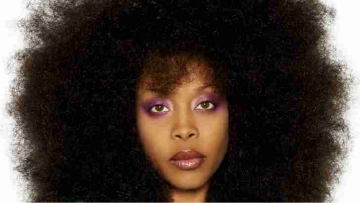 326. Erykah Badu
