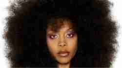 326. Erykah Badu