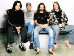 82. Tool