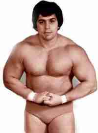 88.  Dino Bravo