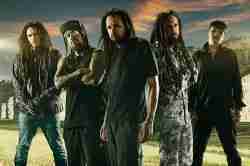 35. Korn