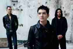 447. Placebo