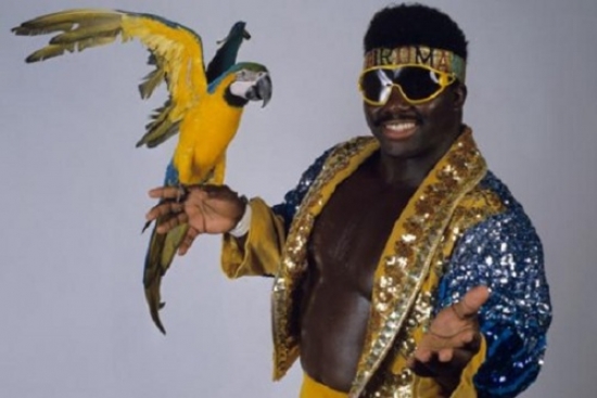 The Buck Stops Here -- Interview with Koko B. Ware